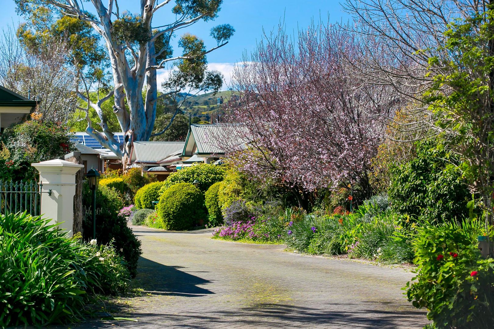 5/130 L'estrange Street, Glenunga SA 5064, Image 1