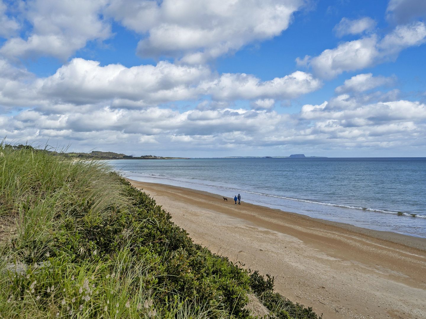 40 Honey Richea Road, Hellyer TAS 7321, Image 1