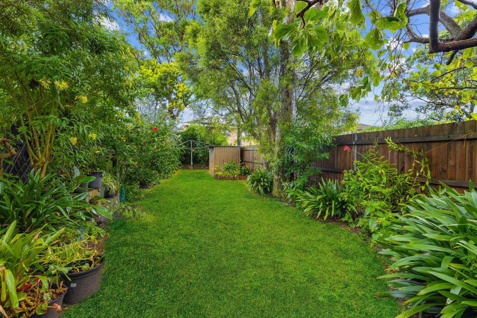 31 Hincks Street, Kingsford NSW 2032, Image 1