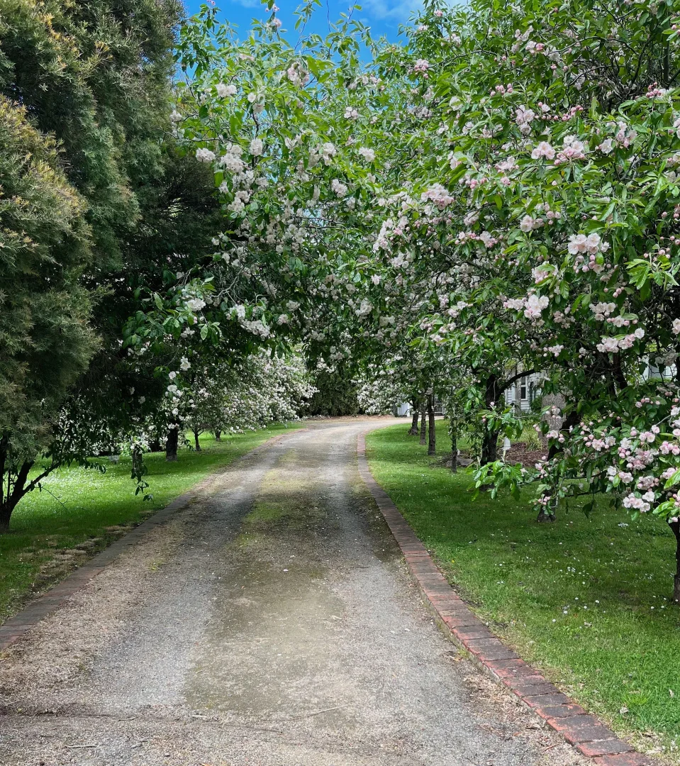 Additional image 8 of 48 Forest Street, Woodend VIC 3442