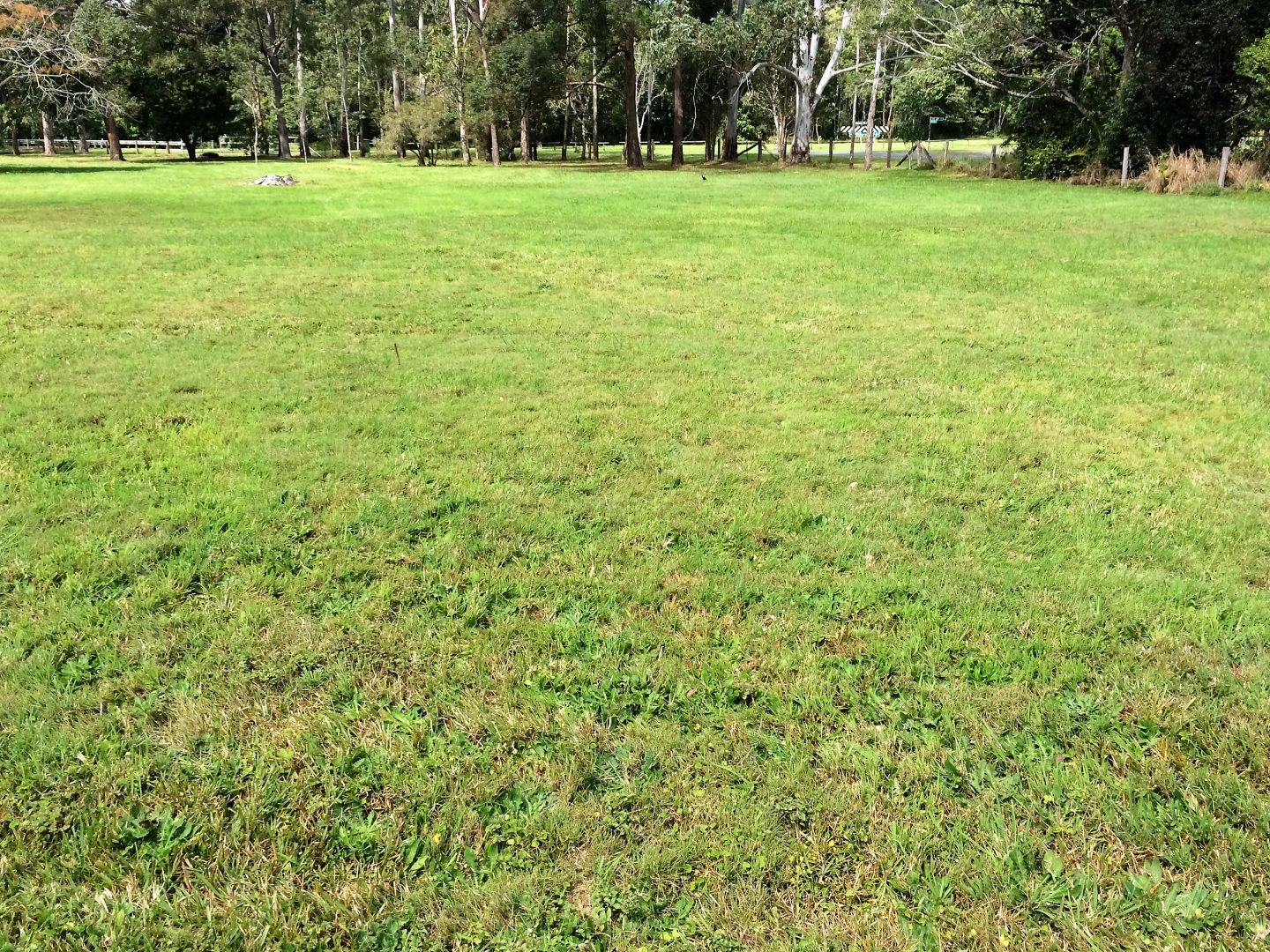 527 Gympie Kin Kin Road, Kin Kin QLD 4571, Image 2