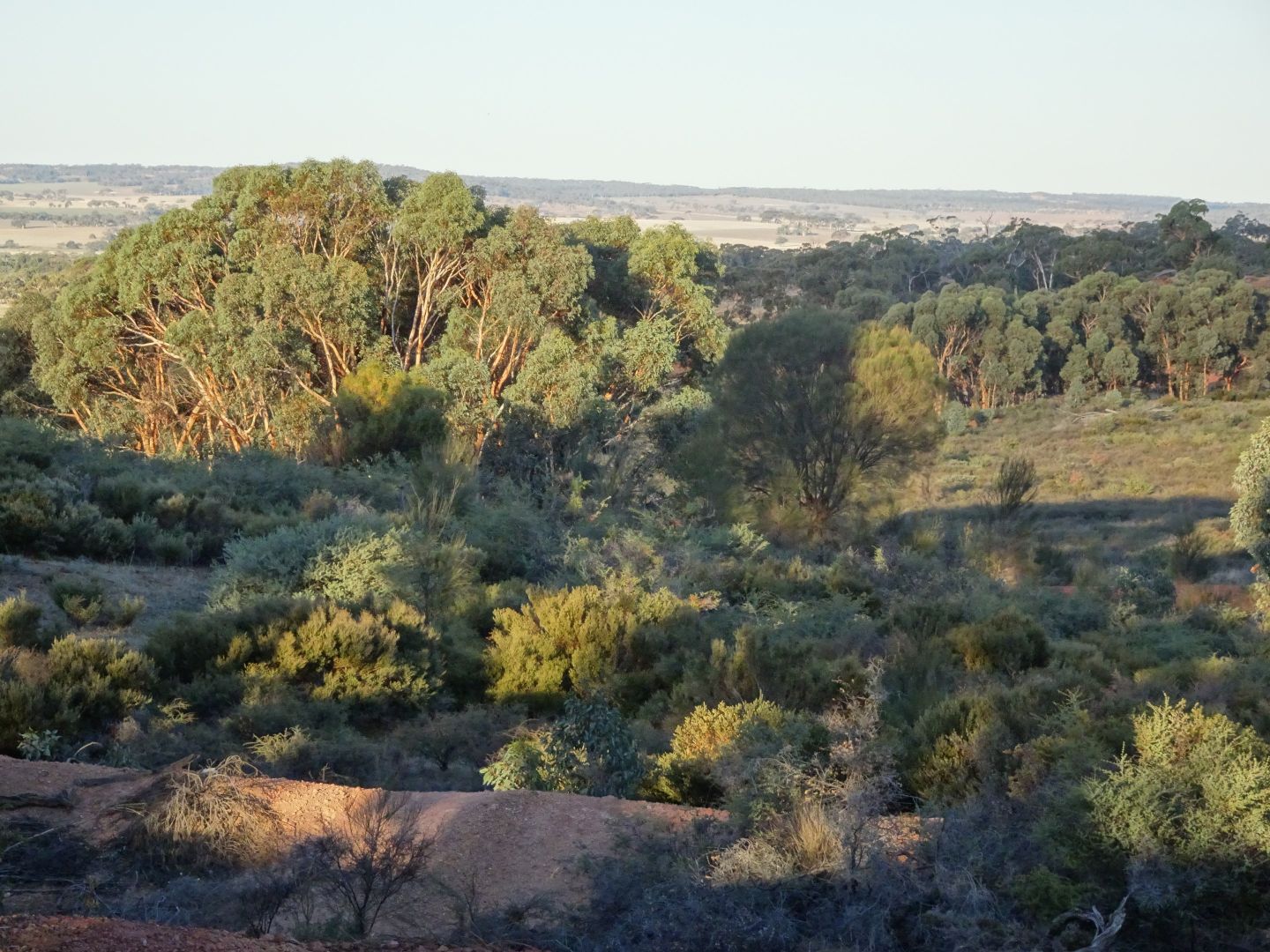 Lot 8335 Brookton Highway, Brookton WA 6306, Image 2