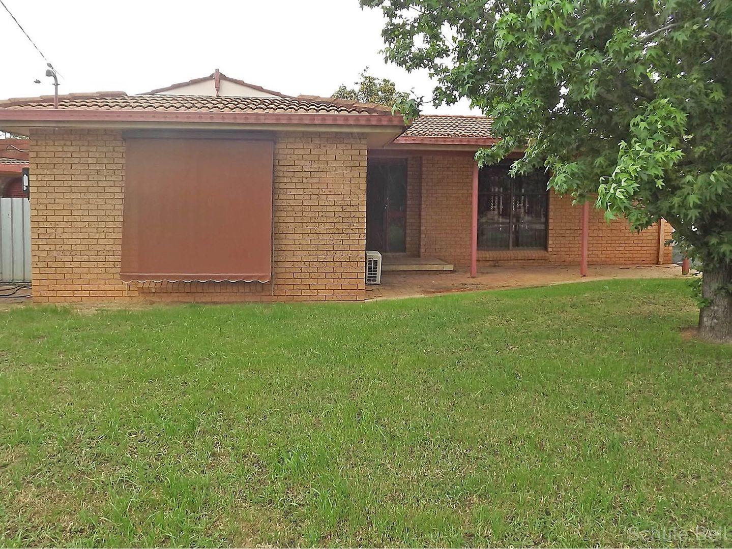 127 Moss Ave, Narromine NSW 2821 House For Rent Domain