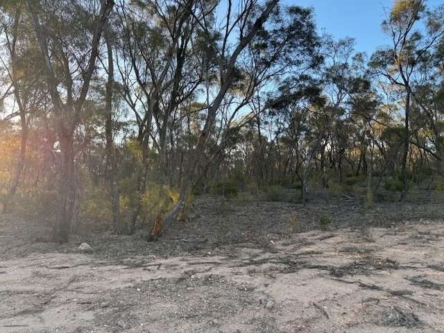 Image 8
