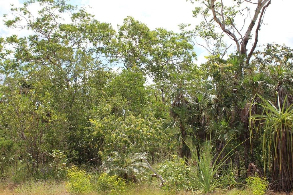 Additional image 15 of 155 Serrata Road, Dundee Downs NT 0840