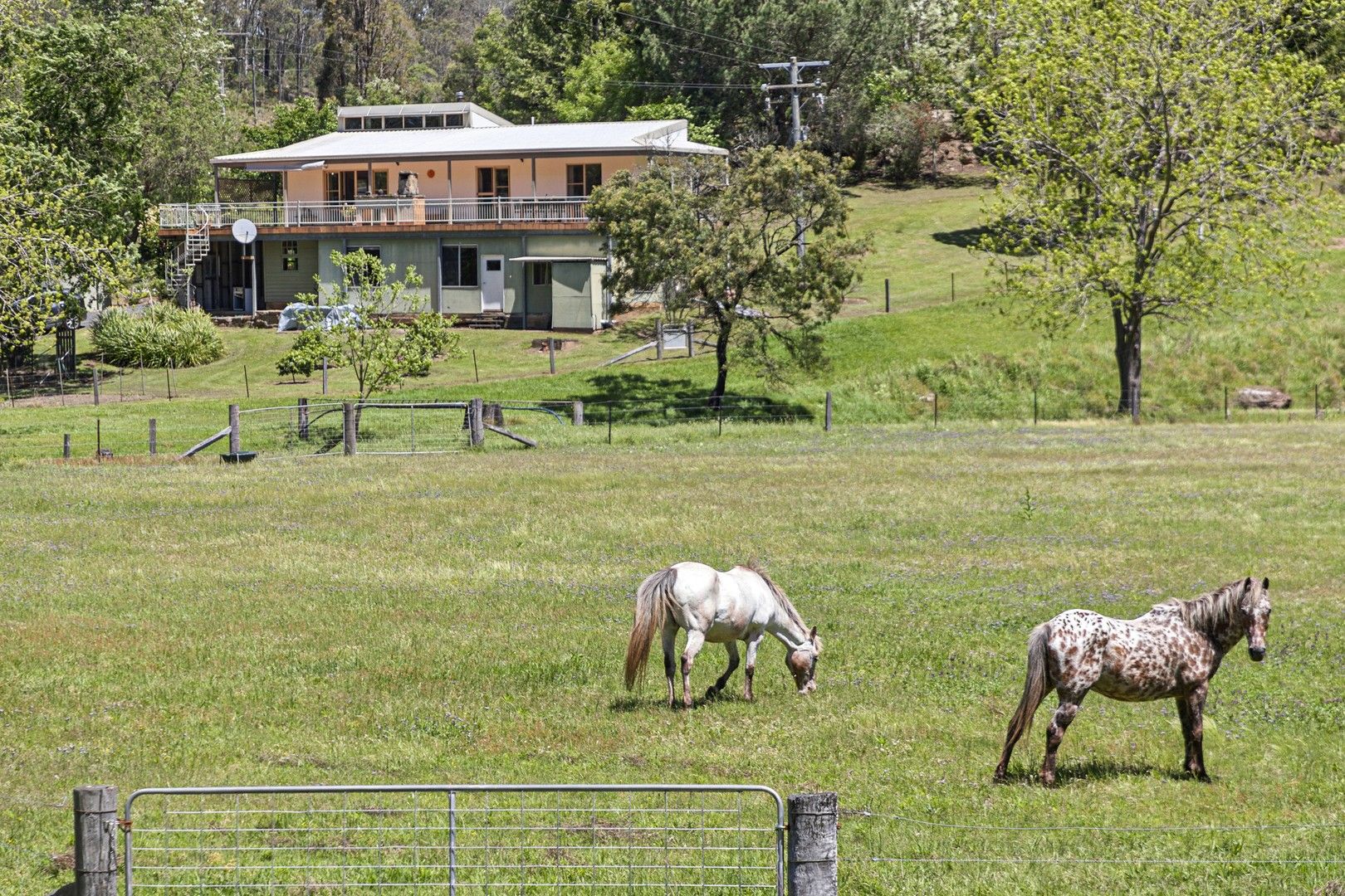 140 Upper Yango Creek Road, Laguna NSW 2325, Image 0