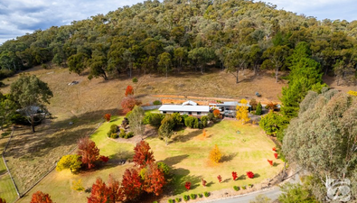 Picture of 339 Buffalo River Road, MYRTLEFORD VIC 3737