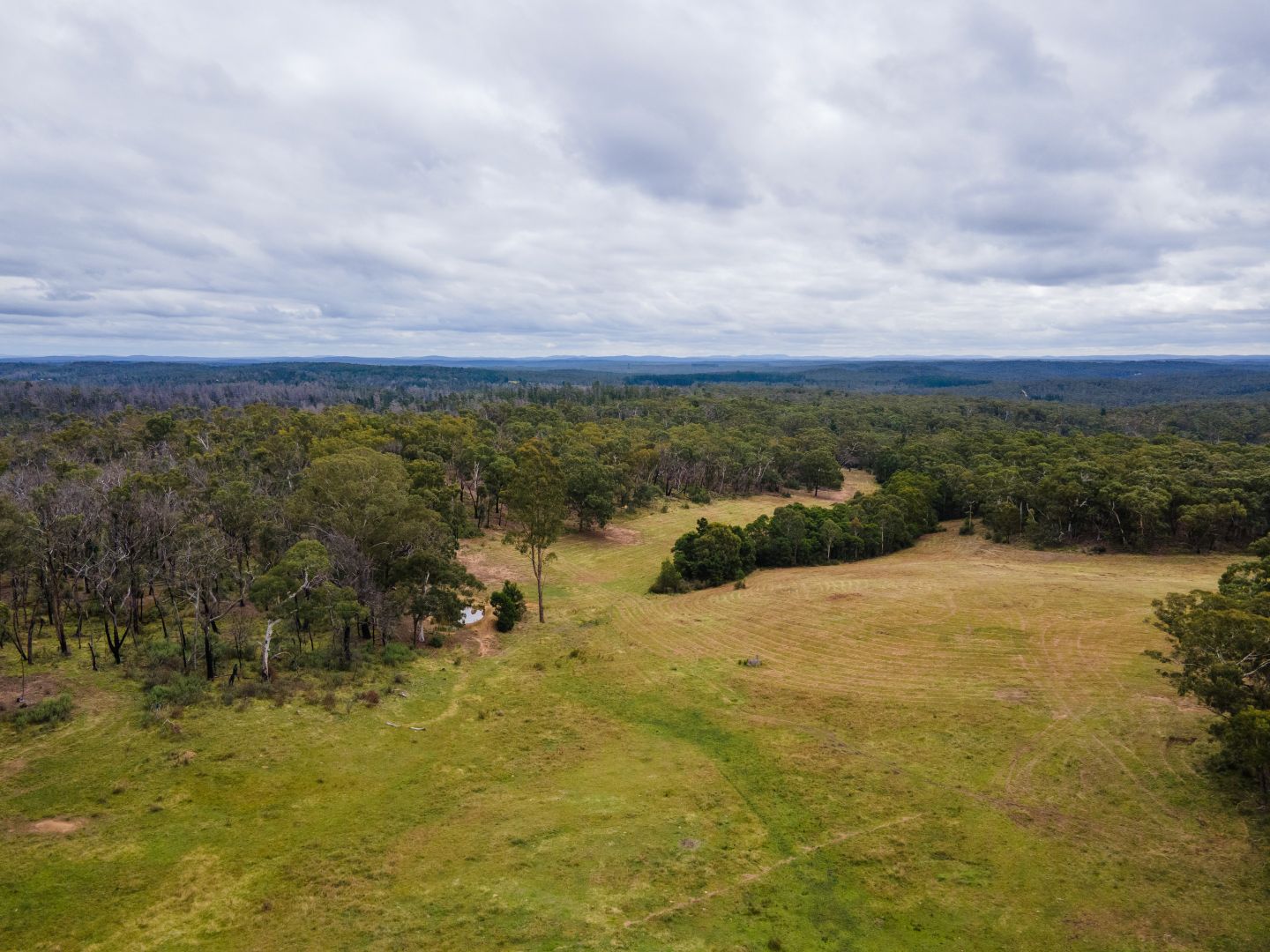 Lot 61 Oallen Road, Nerriga NSW 2622, Image 2