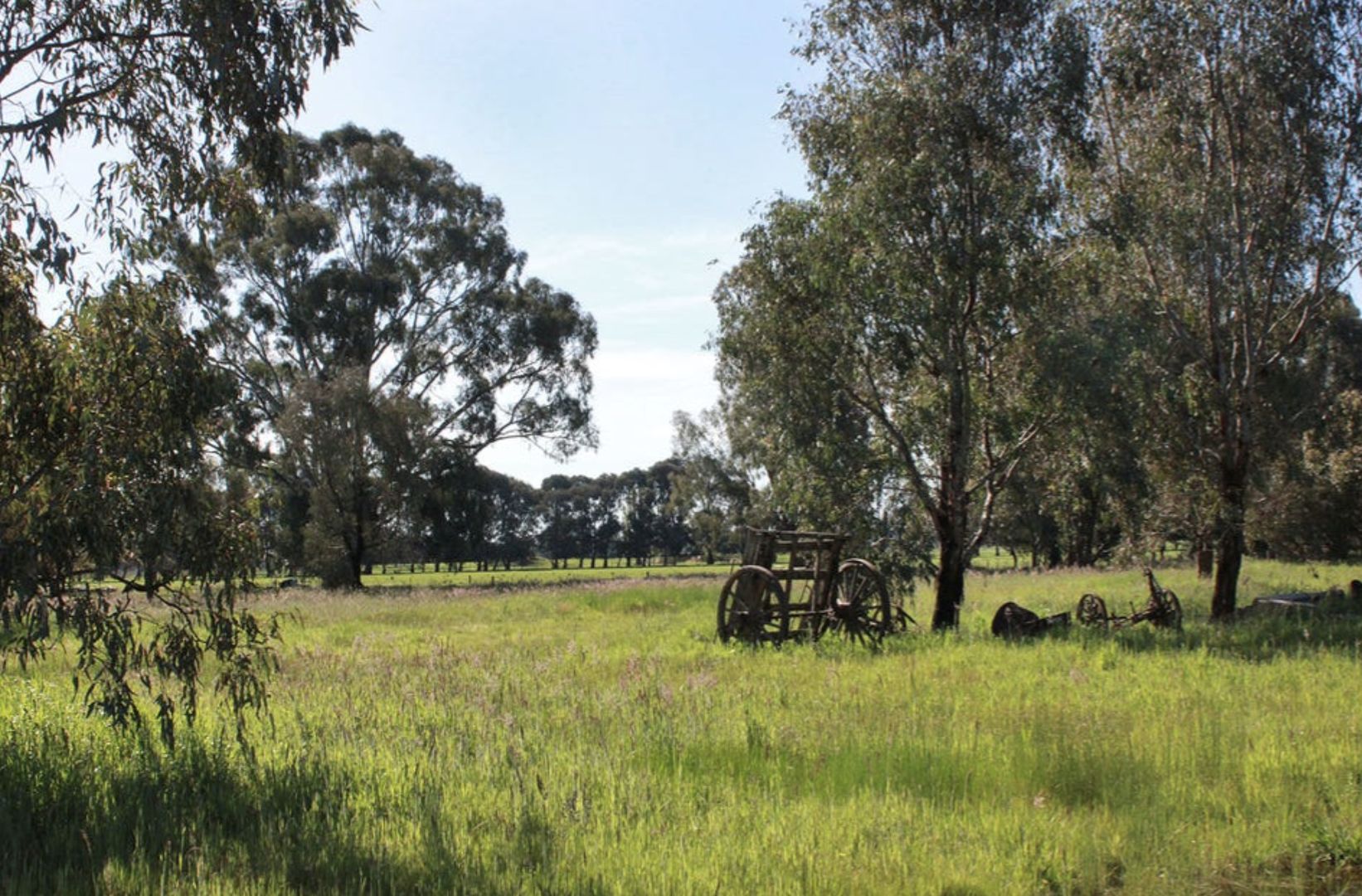Vacant land in 824 Benalla-Warrenbayne Road, WARRENBAYNE VIC, 3670