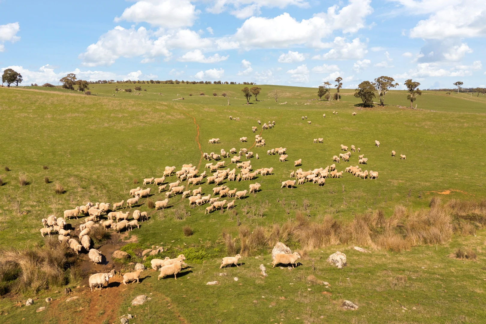 Additional image 19 of Millthorpe NSW 2798