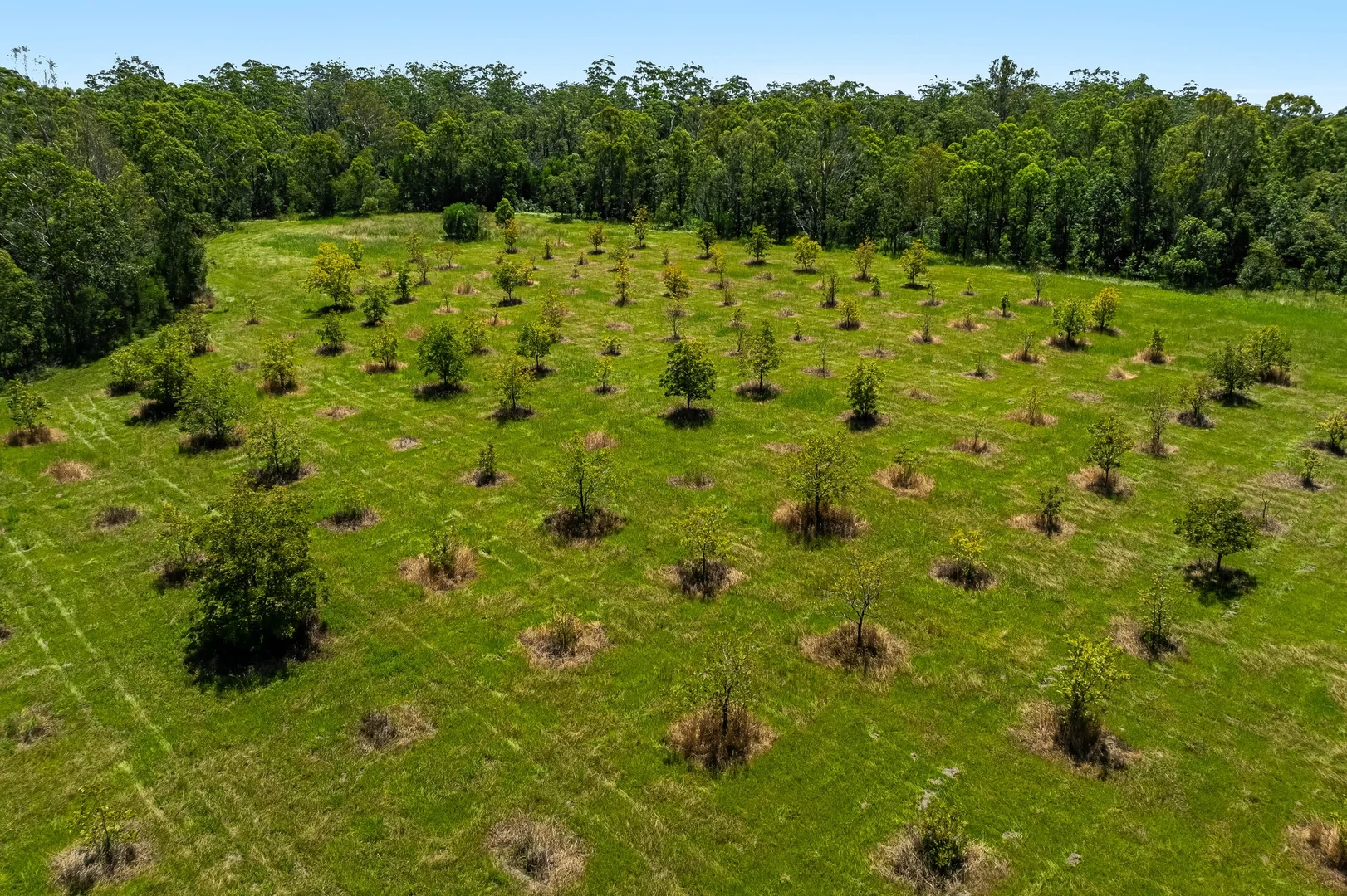 Additional image 17 of 1190 Bungawalbin Whiporie Road, Bungawalbin NSW 2469