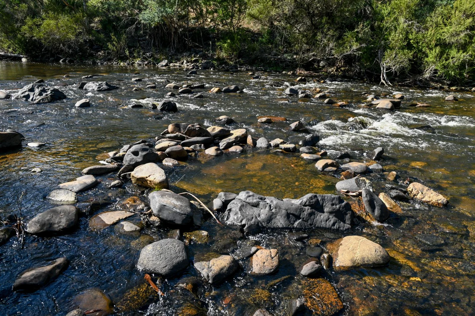 Image 21
