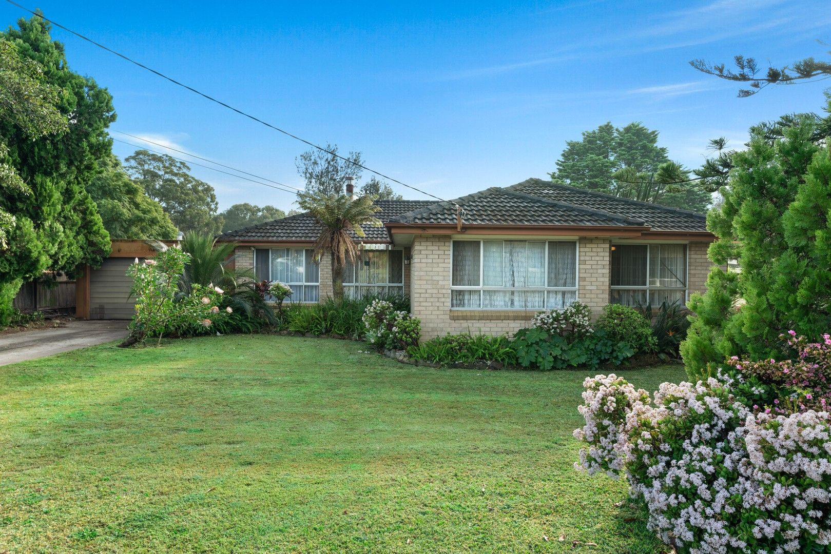 37 Page Avenue, North Nowra NSW 2541, Image 0