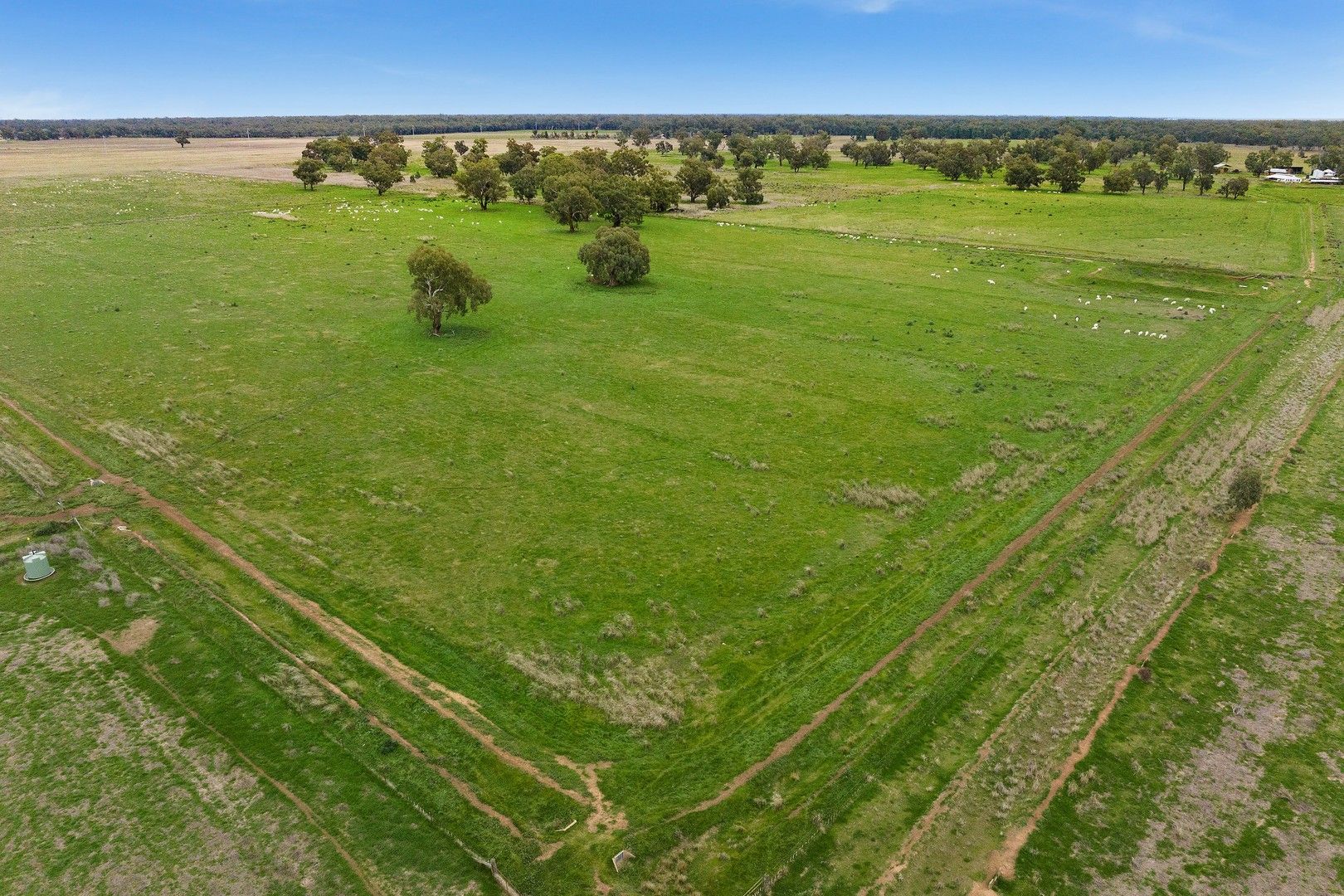 10935 Sturt Highway, Narrandera NSW 2700, Image 0