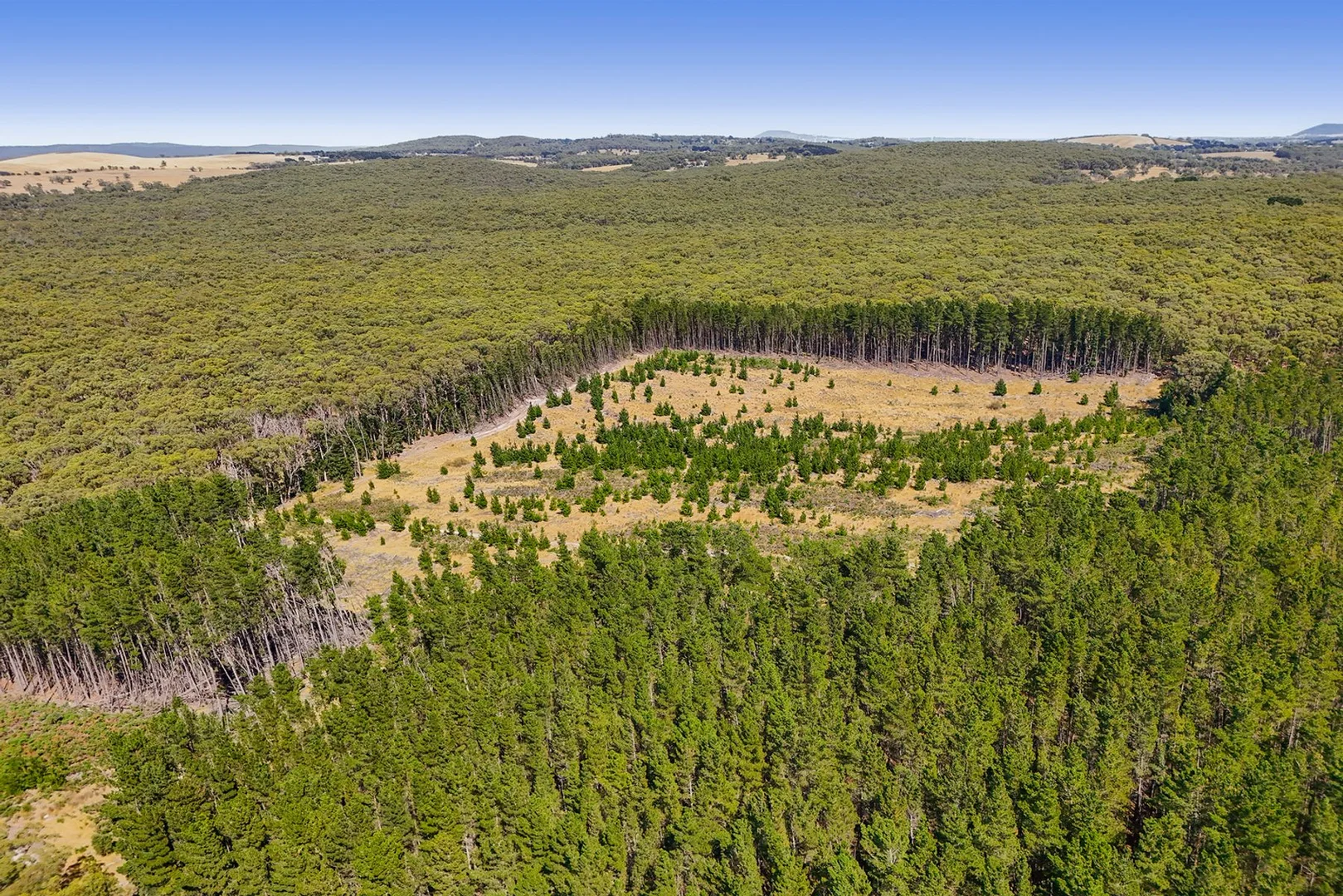 Additional image 10 of Lot 1 Llandeilo Lane, Ballan VIC 3342