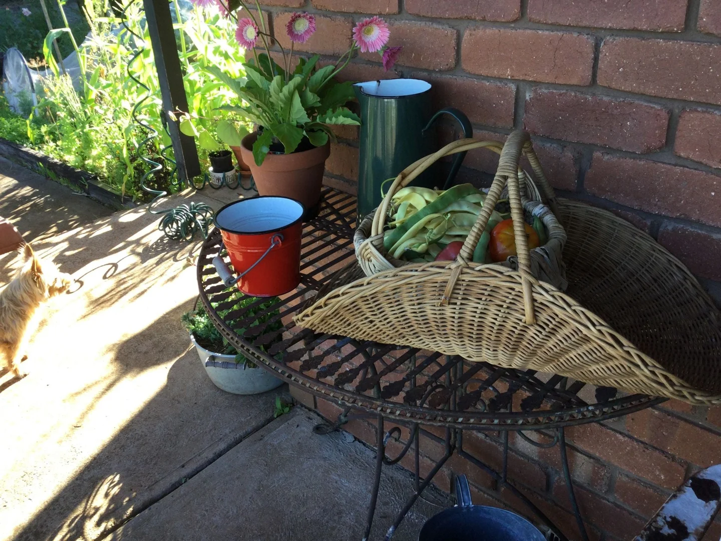 Image 17