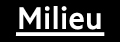 Milieu Property's logo