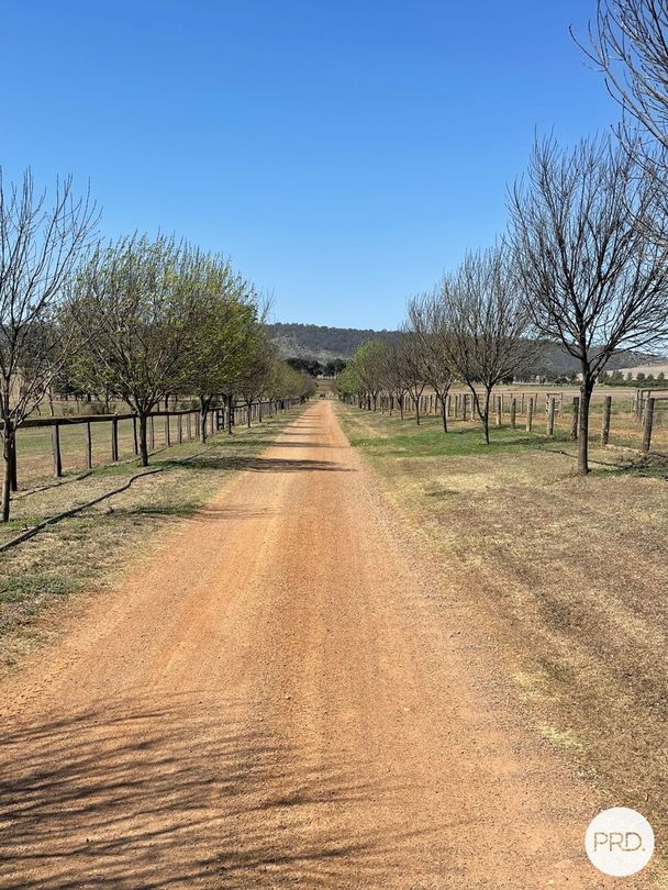 470 Dalswinton Road, Denman NSW 2328 House for Sale Domain