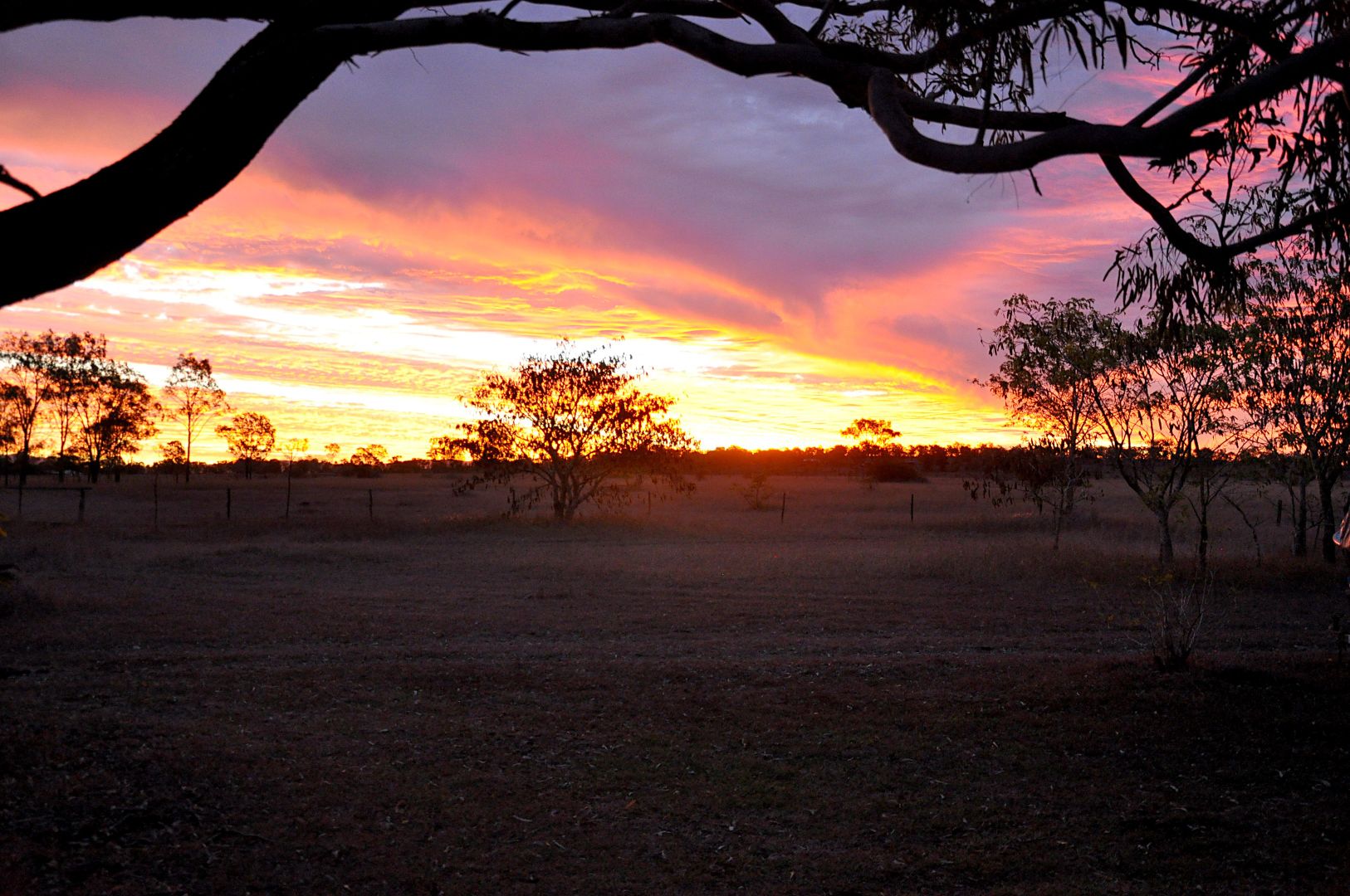 Lot 2 Hoppy Road, Alton Downs QLD 4702, Image 2