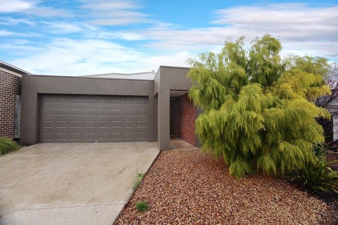 8 timberland street leopold