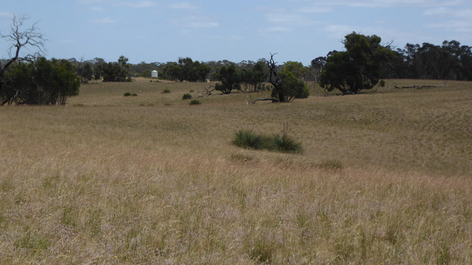 Image 14