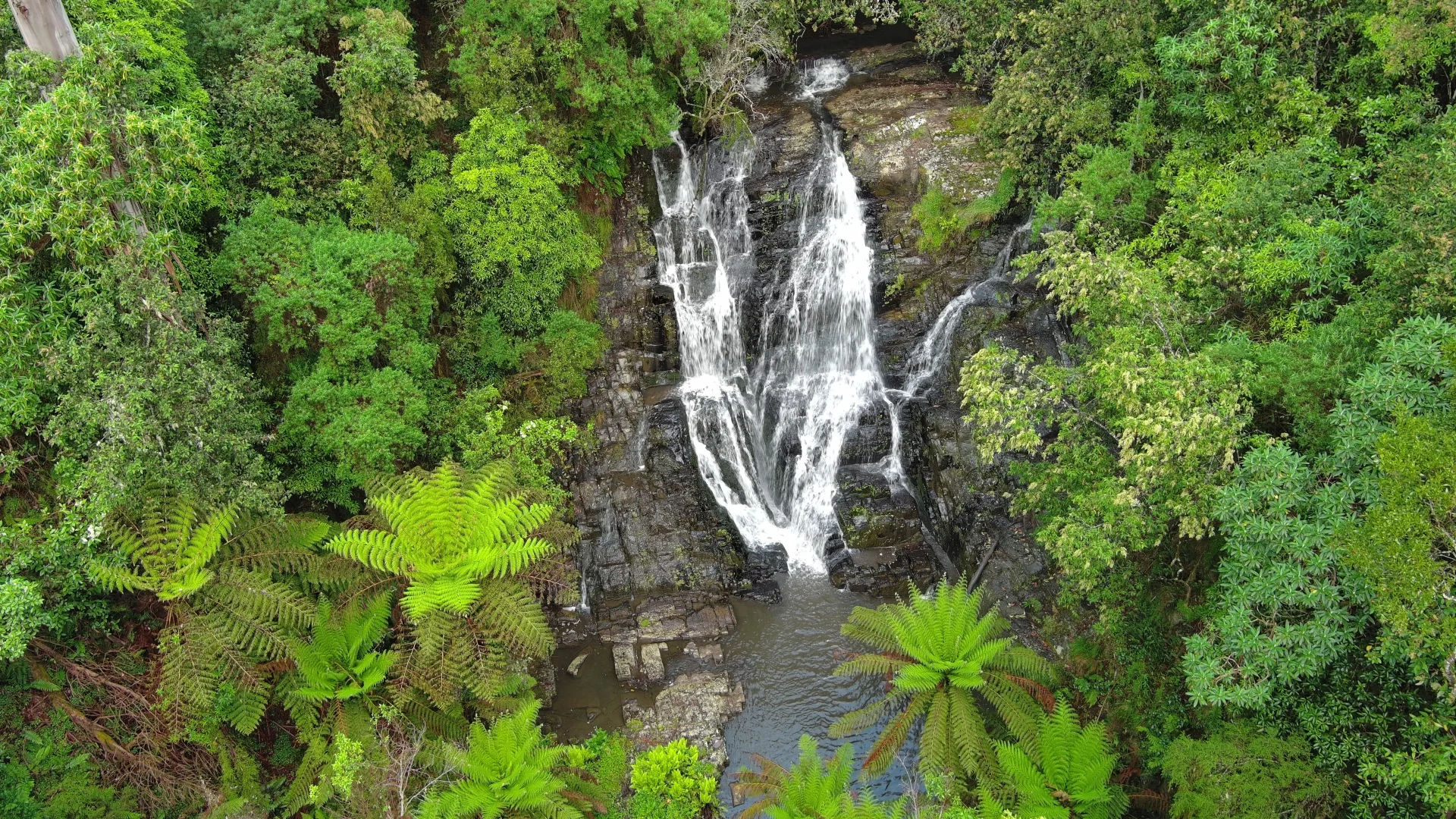 Image 11