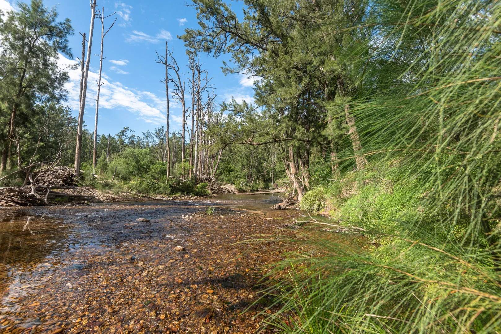 Additional image 9 of 2593 Araluen Road, Deua River Valley NSW 2537