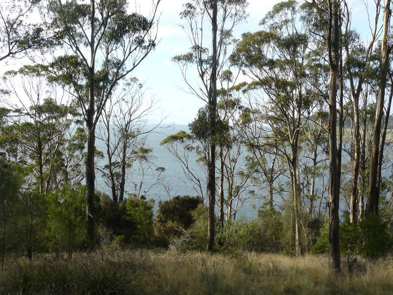 320 Tinderbox Road, TINDERBOX TAS 7054, Image 1