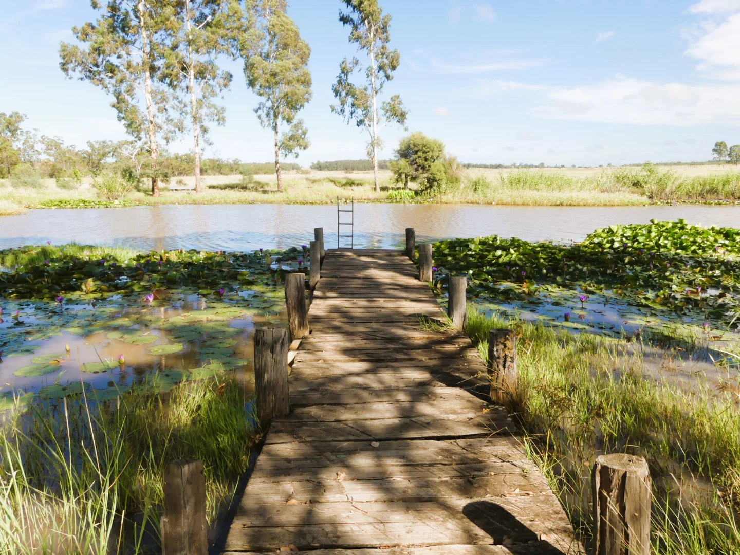 Additional image 22 of 'Langley' 344 Clarke Creek Road, Dulacca QLD 4425