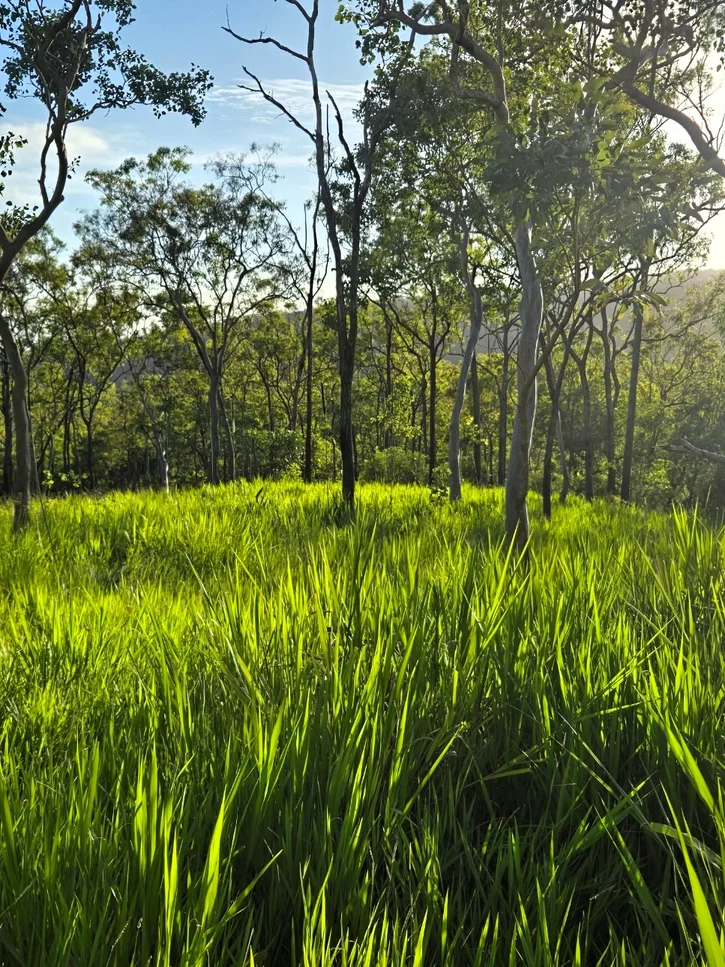 Additional image 8 of Oakenden QLD 4741