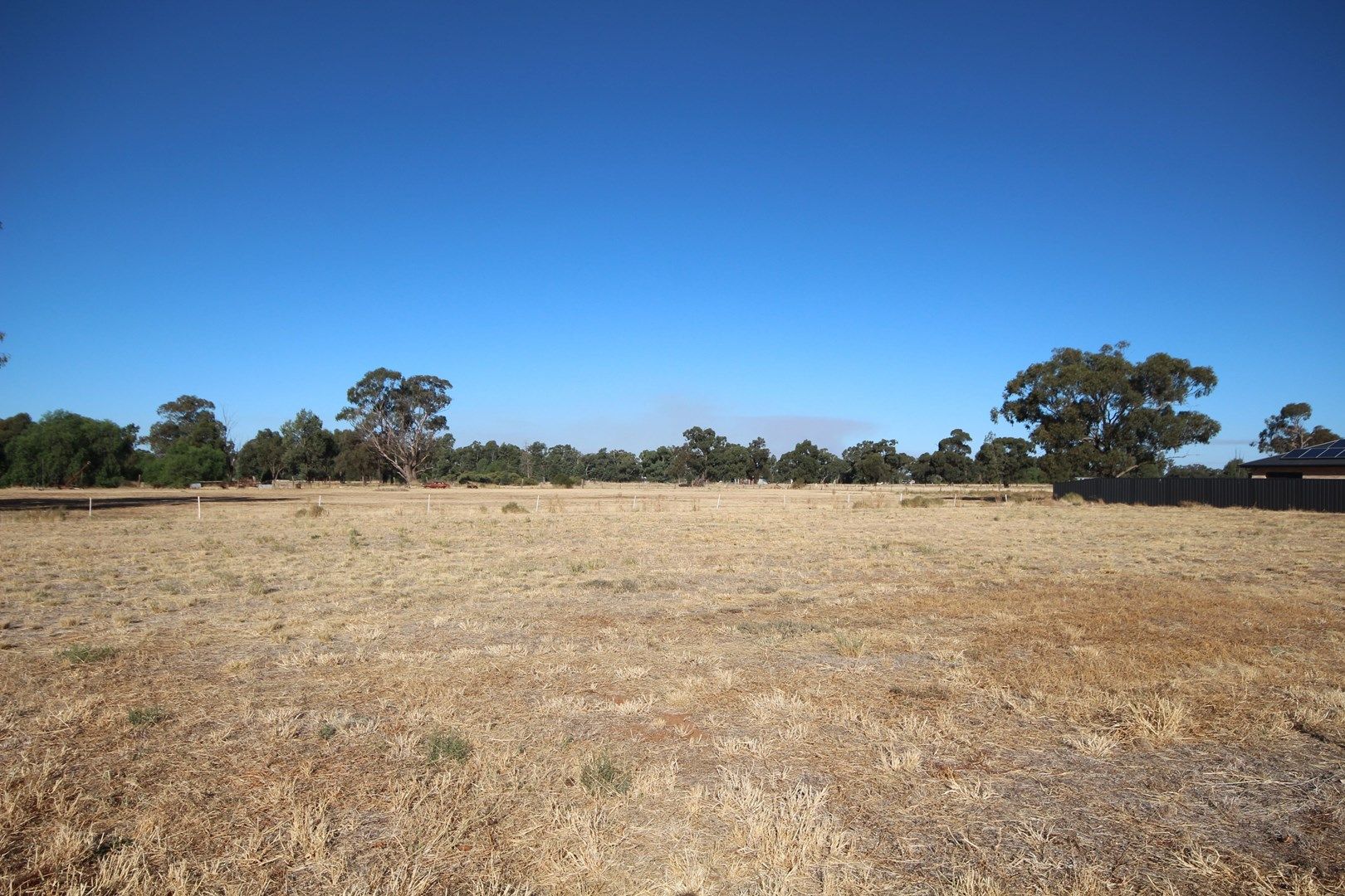 Lot 11 Rockcliff Court, Lockhart NSW 2656, Image 0