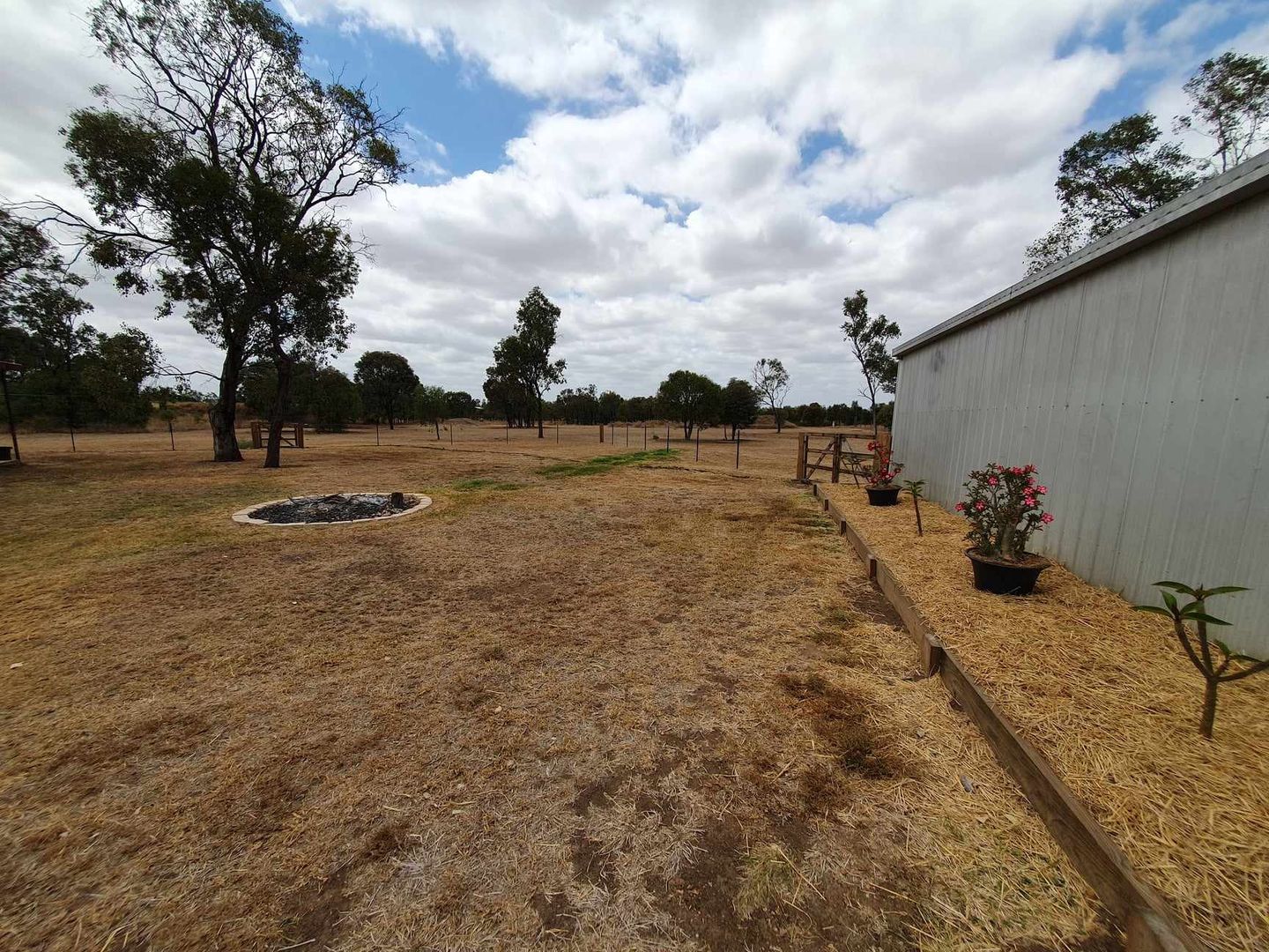 50 Hibernia Road, Capella QLD 4723 House for Sale 485,000