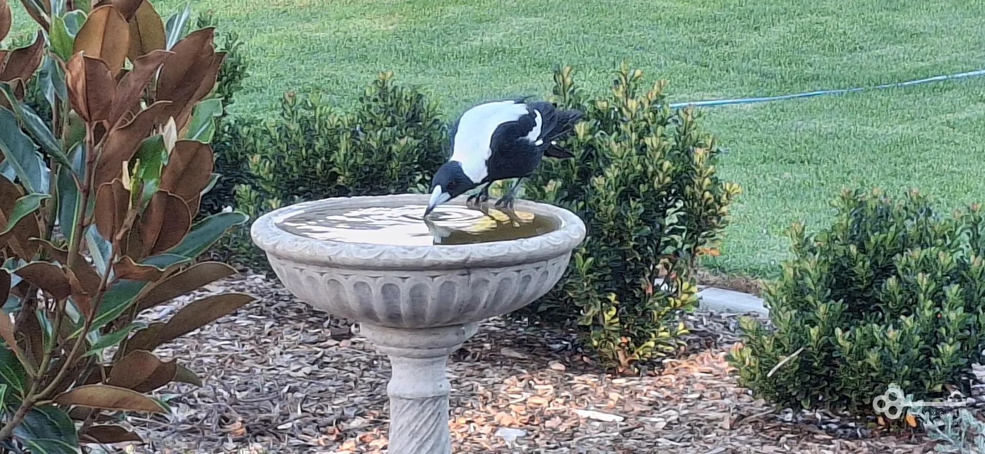 Additional image 34 of 69 Ascott Way, Suttontown SA 5291