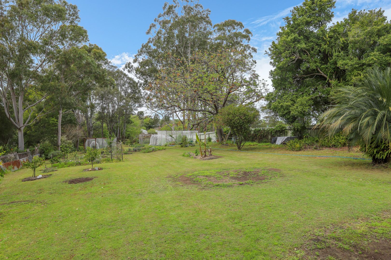 111 Eloiza Street, Dungog NSW 2420, Image 1