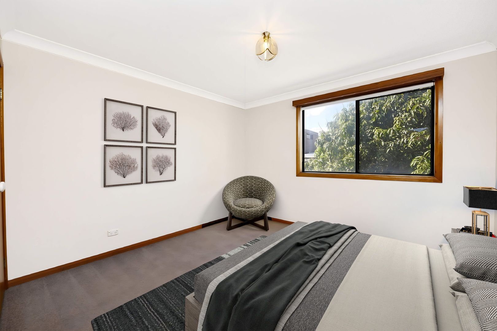 37 Alfred Street, Lilyfield NSW 2040, Image 2