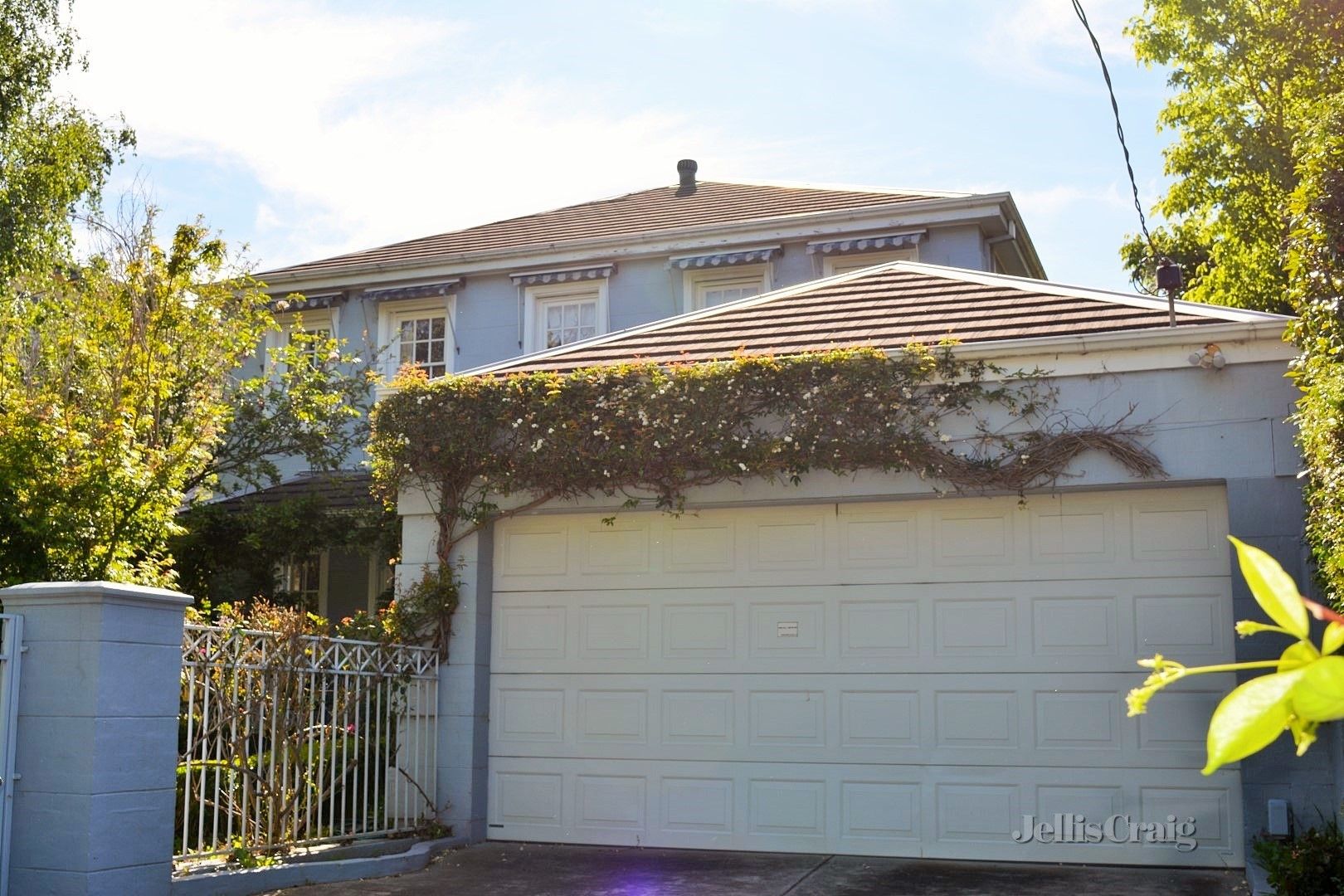 10 Junction Road, Surrey Hills Property