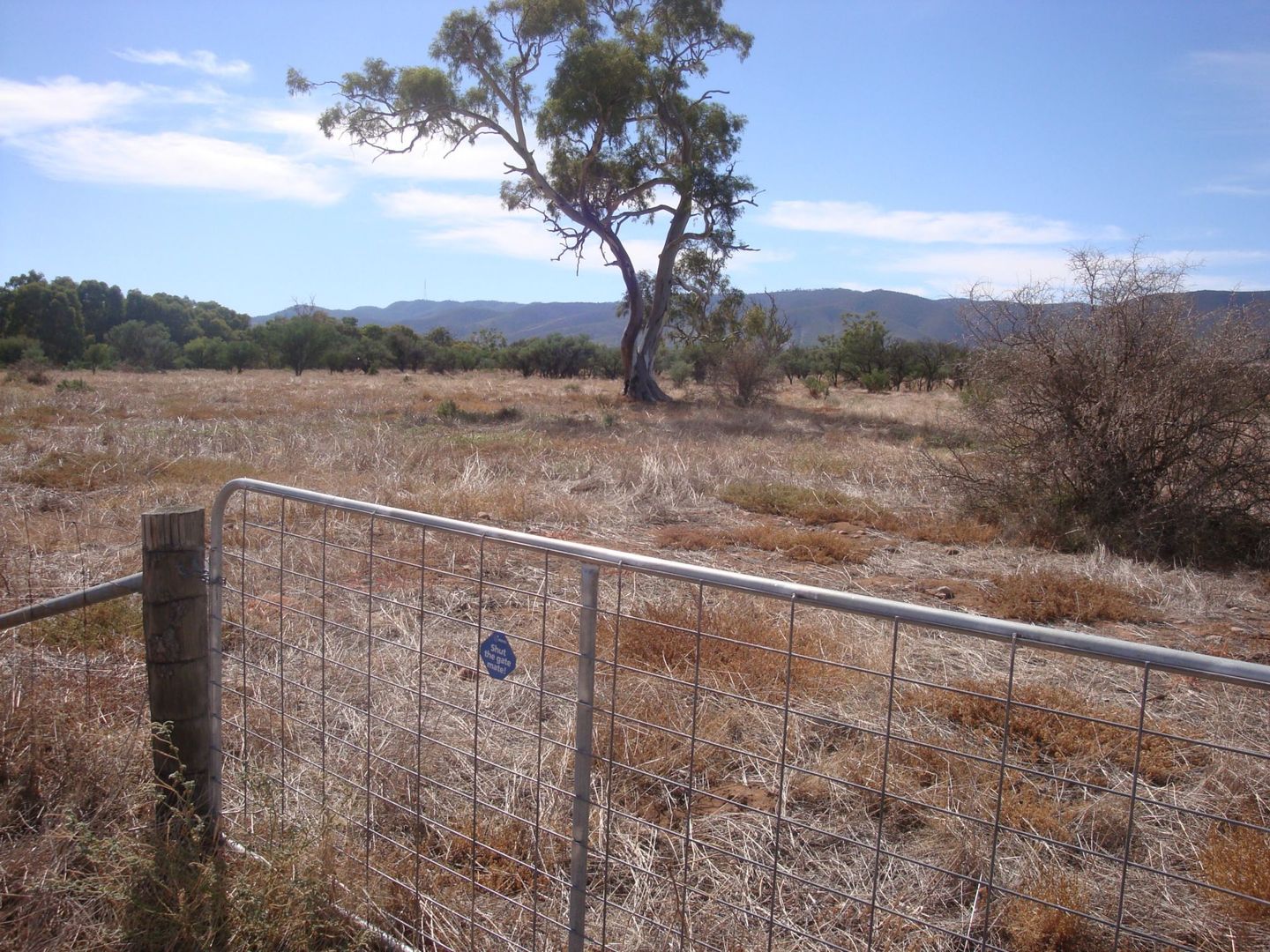 Lot 180 Off Gulf View Drive, Napperby SA 5540, Image 2