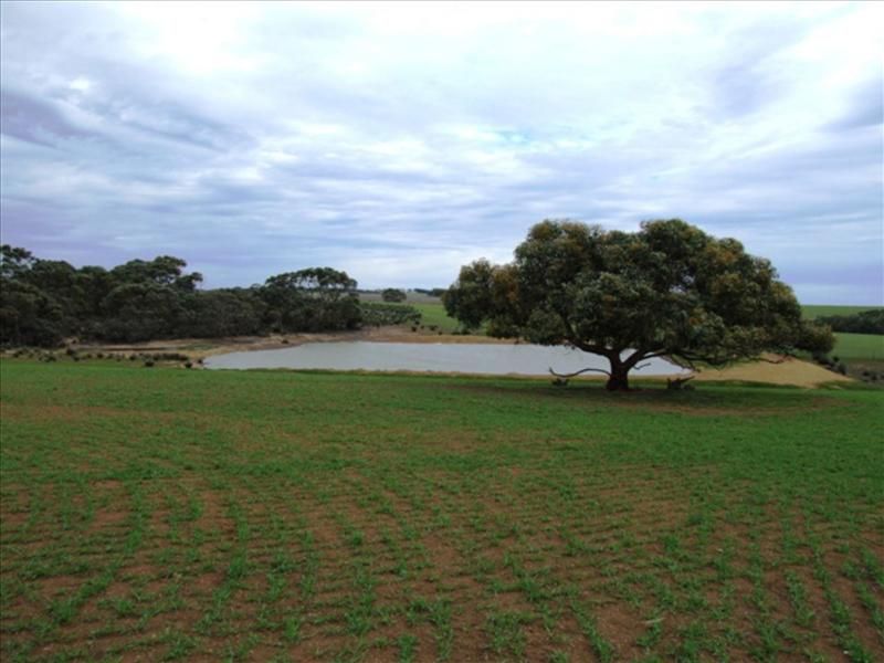 Lot 144 North Coast Road, Cassini SA 5223, Image 0