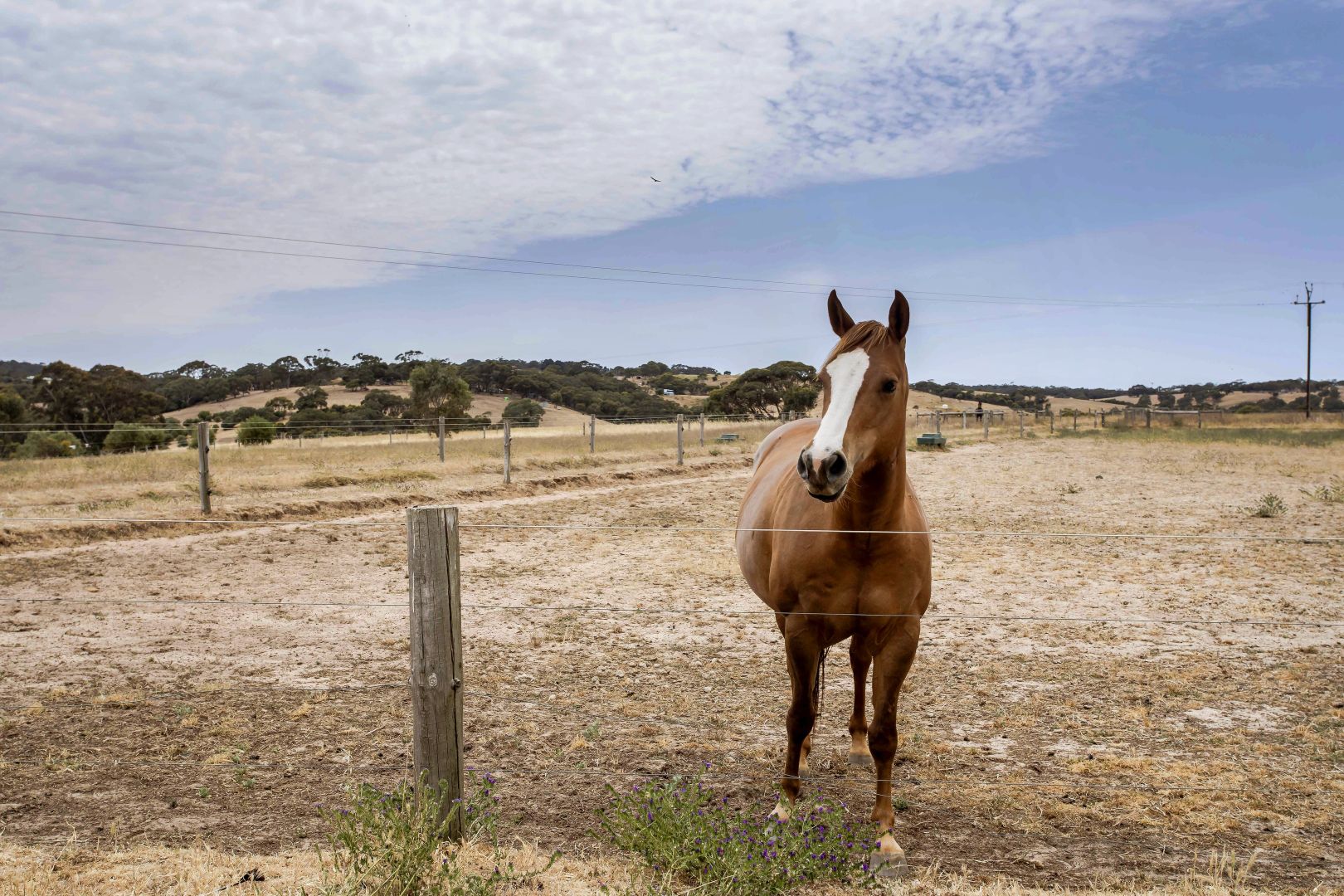 550 Panalatinga Road, Onkaparinga Hills SA 5163, Image 1