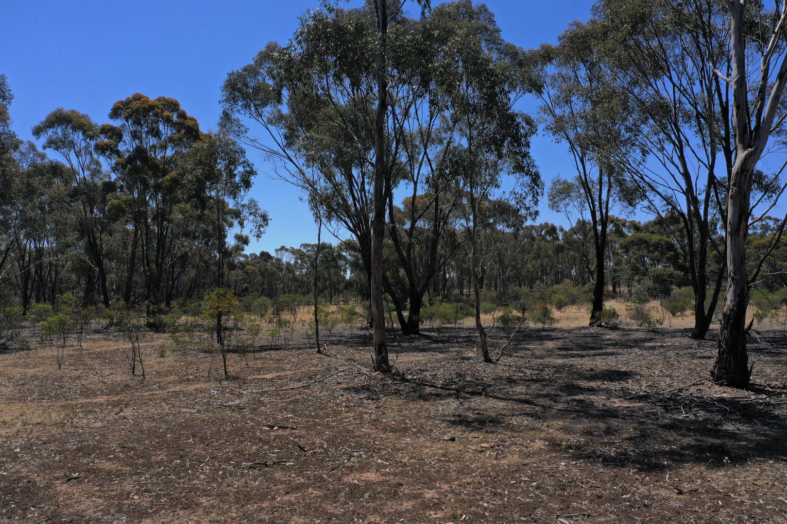 Lot 1 St Arnaud - Wycheproof Road, St Arnaud VIC 3478, Image 2