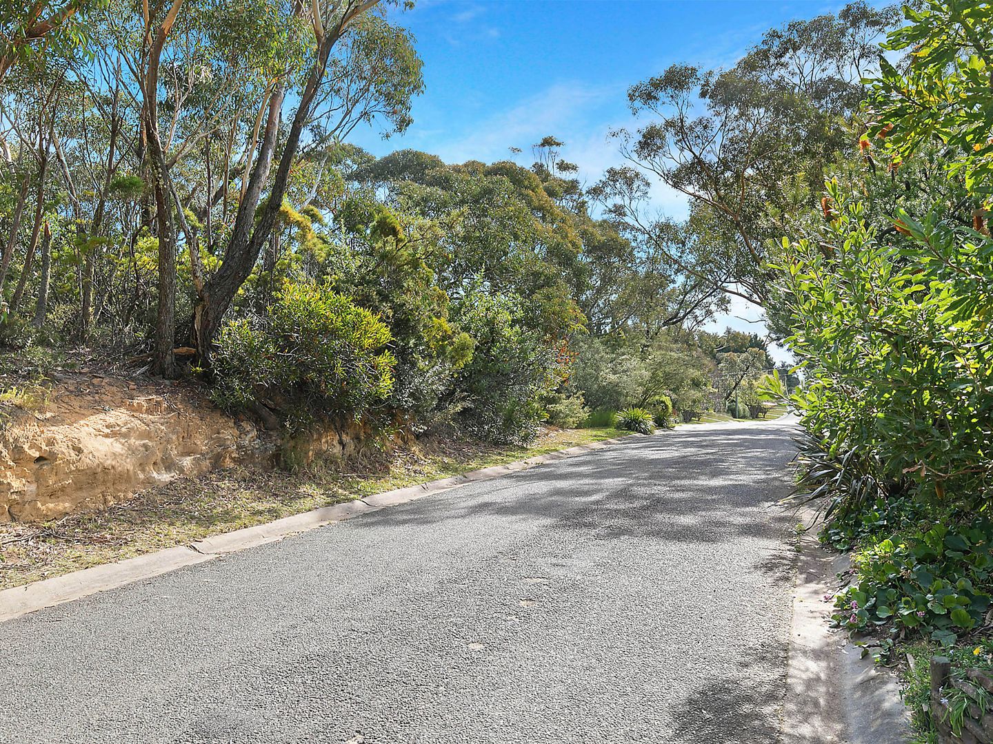 23 Queen Elizabeth Drive, Wentworth Falls NSW 2782, Image 1