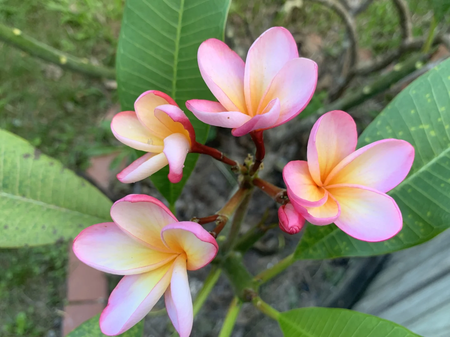 Additional image 14 of 37/128 Benowa Road, Southport QLD 4215