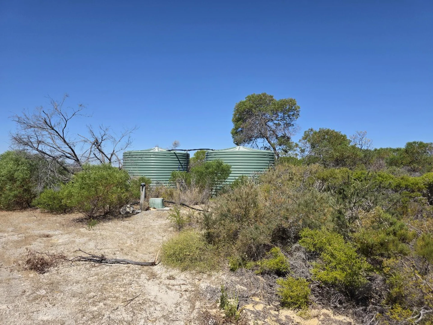 Image 4