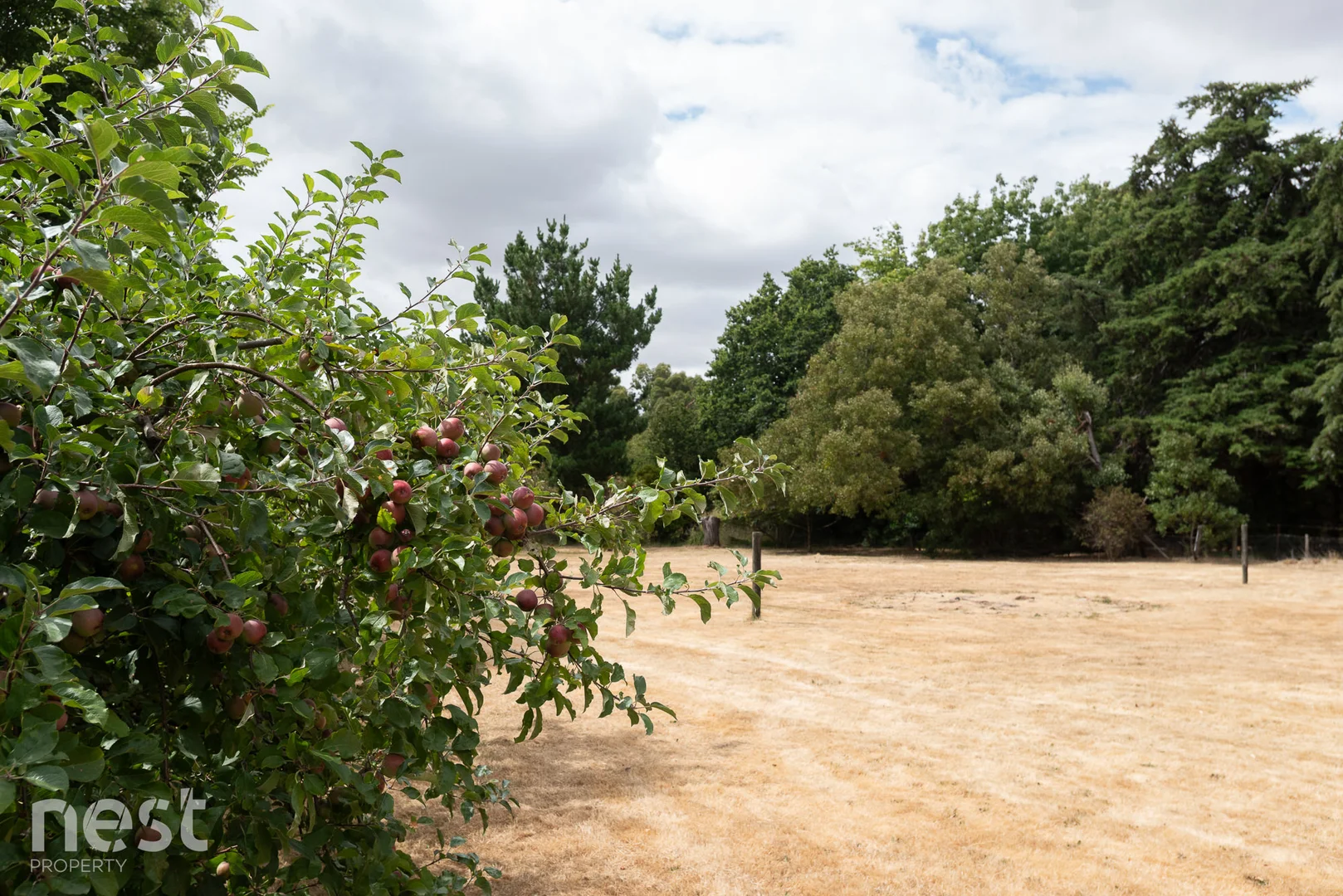 Additional image 30 of 57 Marriott Street, Westbury TAS 7303