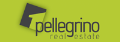 _Archived_Pellegrino Real Estate's logo