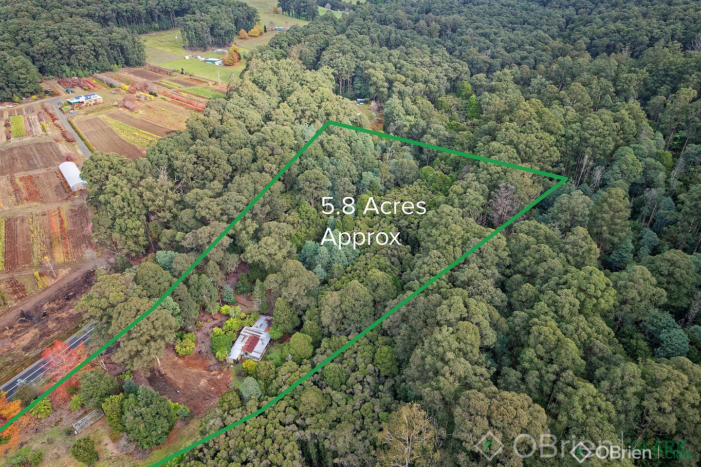 3505 Yarra Junction-Noojee Road, Piedmont VIC 3833, Image 2