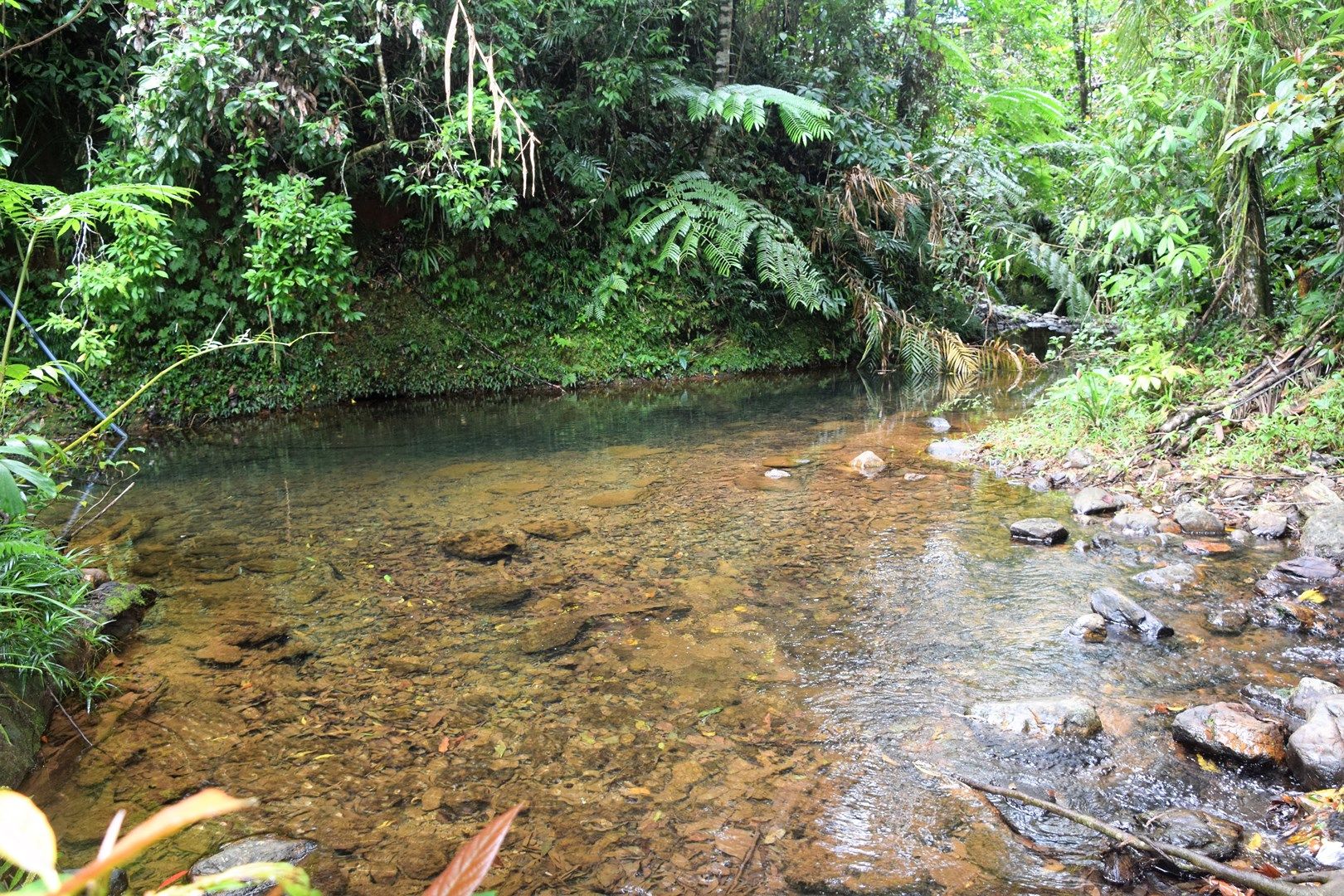 Cow Bay QLD 4873, Image 0