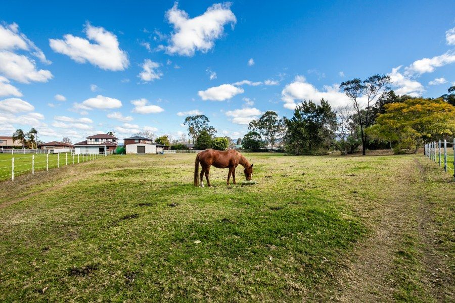 33 Windsor Crescent, Brownsville NSW 2530, Image 0