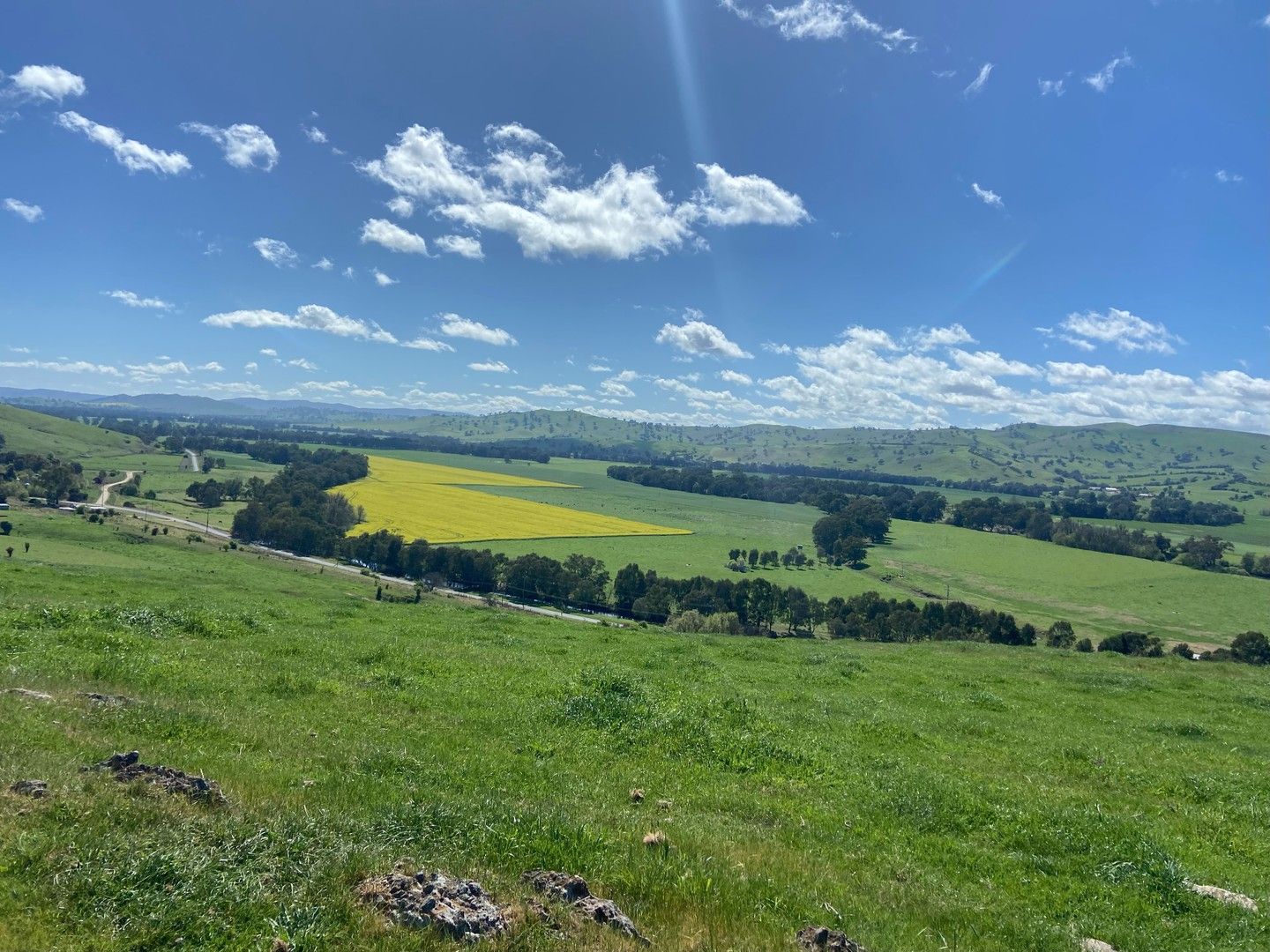 Hanley Street, Gundagai NSW 2722 Vacant Land for Sale Domain