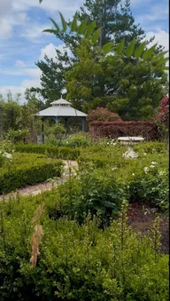 Image 14